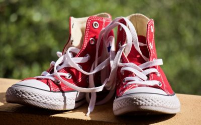 Bewegung im Park – Nordic Walking
