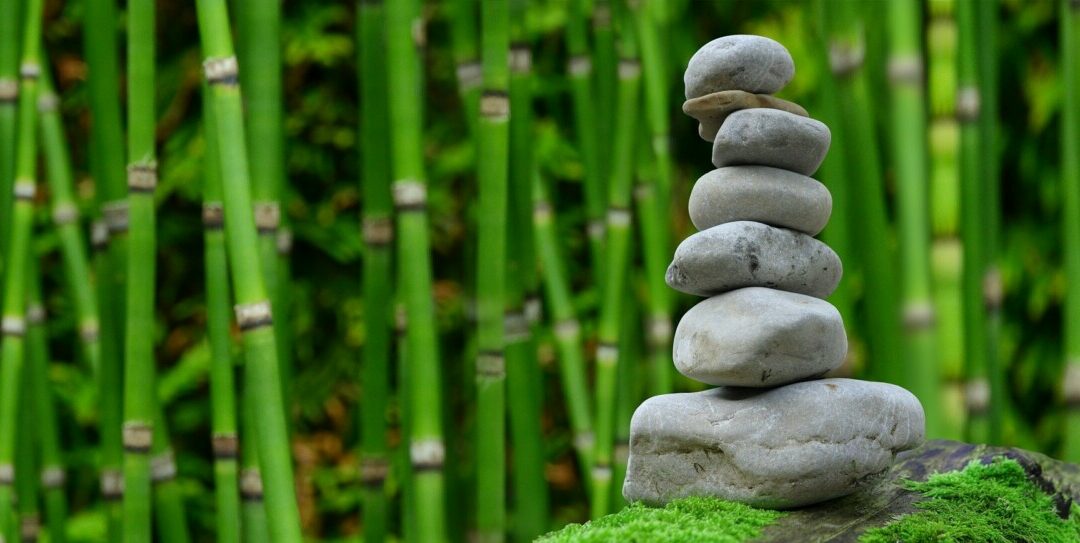 Selbsthilfe bei Schmerz, Stressoren lindern und loslassen, gesunden Schlaf fördern durch alternative Heilmittel und komplementäre Methoden“- Bericht von Annette Huber